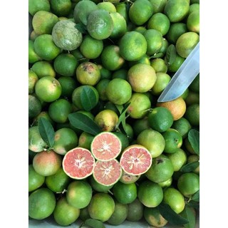 Chanh đào nhà trồng/1kg