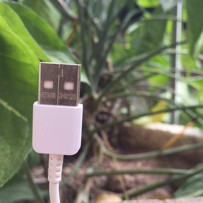 Cáp Sạc Type-C Zin bóc máy 100%