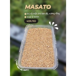 ĐÁ RÃI MẶT/TRỘN GIÁ THỂ DÀNH CHO SEN ĐÁ VÀ XƯƠNG RỒNG (TÚI 500GR), MASATO (1KG)