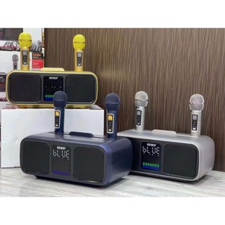 Loa karaoke sdrd sd-318 kèm 2 mic không dây