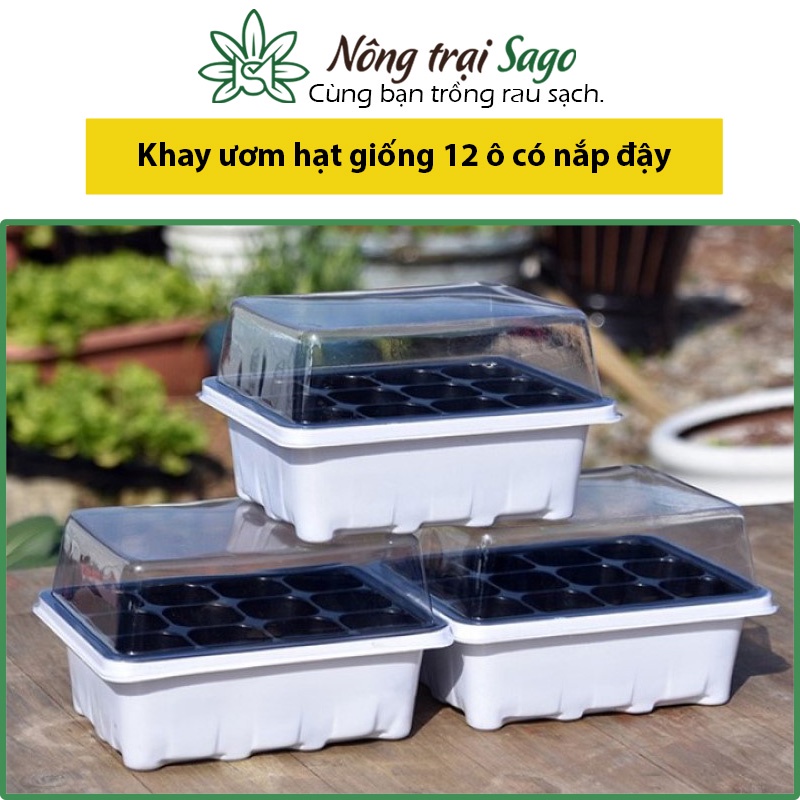 Khay Ươm Hạt Giống 12 Ô Có Nắp Đậy Bảo Vệ Tránh Côn Trùng, Tiện Lợi, Dễ Sử Dụng, Độ Bền Cao - Nông Trại Sago