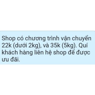 Combo 5 chậu cây lá lốt