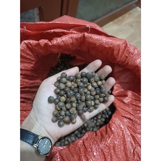 Hạt rẻ rừng 1kg