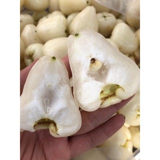 Cây Mận Trắng Sữa ( cây siêu đẹp +giống ghép siêu sớm)