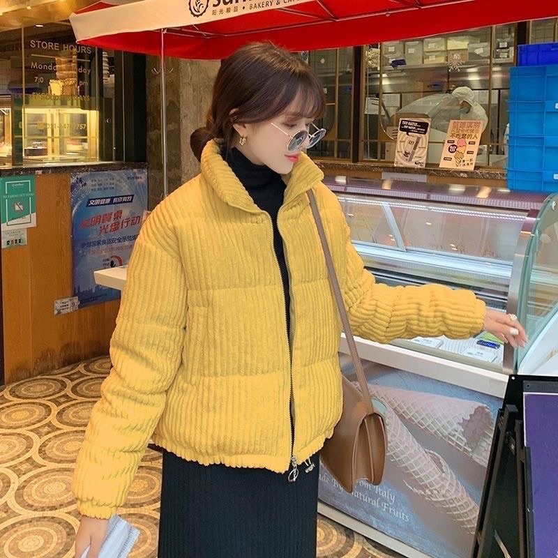 Áo Phao Béo Nhung Tăm 2 Lớp Dày Dặn Phong Cách Hàn, Thời Trang Mùa Đông Siêu Ấm Áp Dành Cho Nữ
