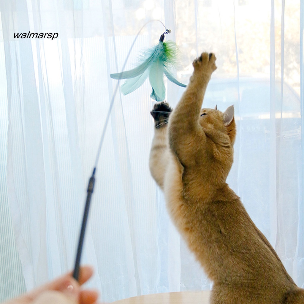 Gậy Lông Vũ Dài 92cm Linh Hoạt Chống Cắn Cho Mèo Cưng