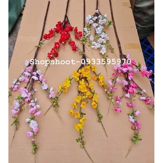 Đào cổ lộc chưng tết cực xinh