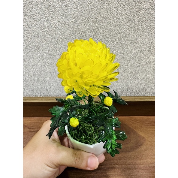 1 Chậu Hoa Cúc Pha Lê Nhựa Decor Nhà Cửa