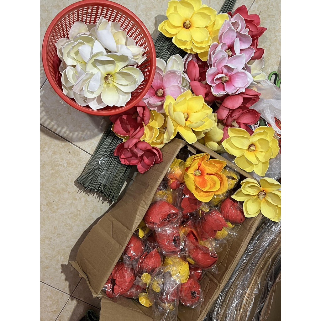 Đầu hoa MỘC LAN