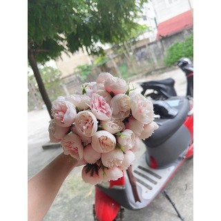 BÓ 27 BÔNG HOA LỤA TRANG TRÍ
