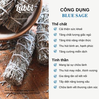 [Labbi] Xô Thơm Xanh (Blue Sage) - thu hút may mắn