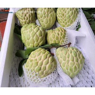 xốp lưới bọc trái cây.