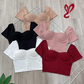 Áo cúp ngực croptop thun gân