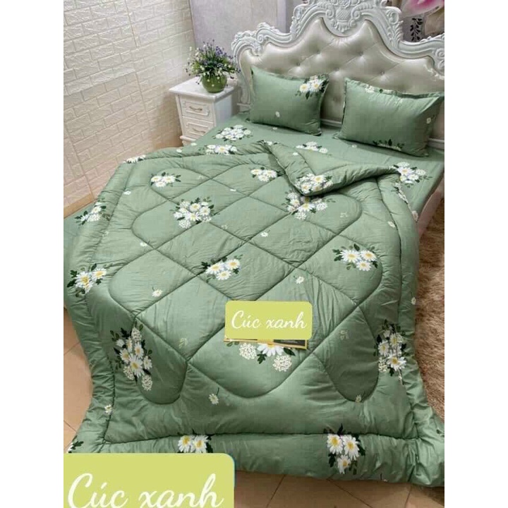 Chăn Phao Siêu Nhẹ Trần Bông Cao Cấp, Họa Tiết Sinh Động Sang Trọng