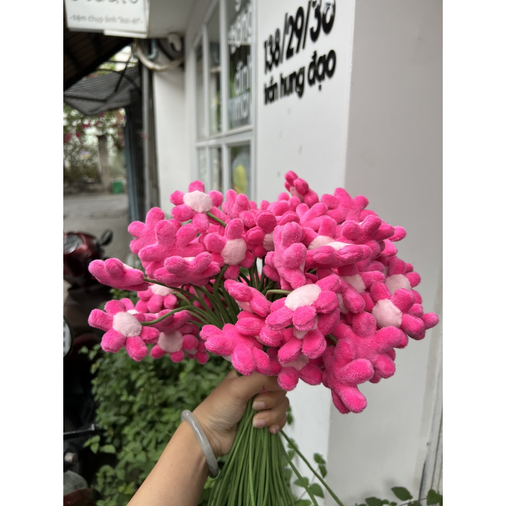 Hoa 6 Cánh Dễ Thương, thân 30cm - gấu bông đình may