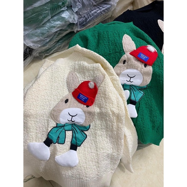 Áo nỉ form to rộng