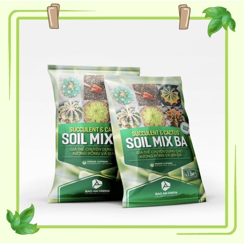 Soil Mix Ba bao 6kg_Giá Thể Trộn Sẵn Trồng Sen Đá, Xương Rồng,...