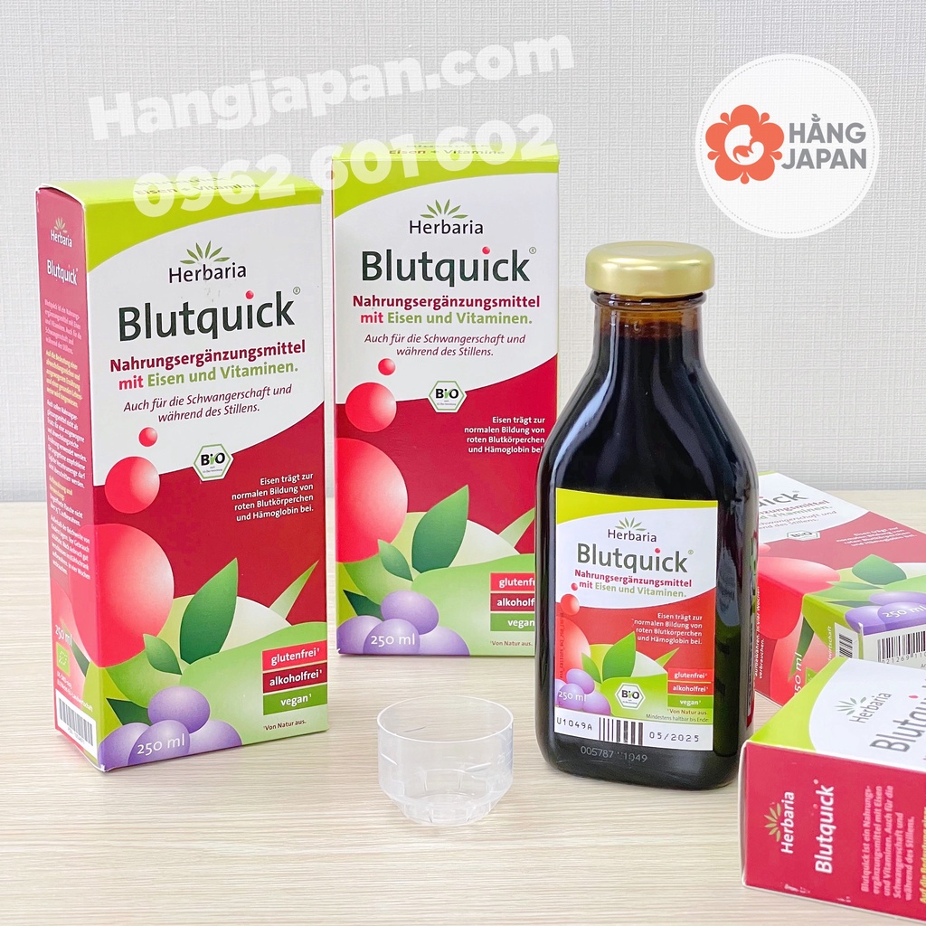 Dung dịch bổ sung sắt hữu cơ Blutquick  - Hàng Đức cho bé trên 1 tuổi trở lên