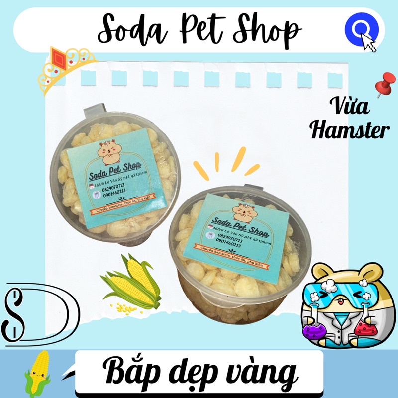 Bắp Dẹp Vàng Cho Hamster