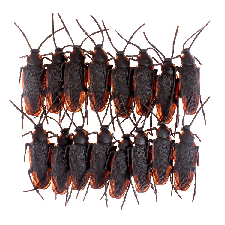 Côn Trùng Giả Như Thật, Đồ Chơi Gián Giả Như Thật