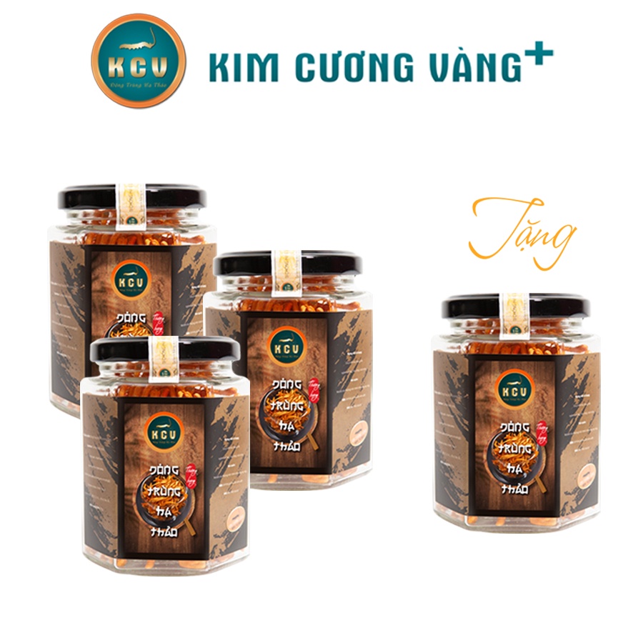 Combo 3 Hộp Đông Trùng Hạ Thảo Khô Kim Cương Vàng - Tặng 1 Hộp