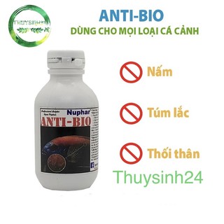 Dung dịch Anti Bio Nuphar - xử lý nấm cá cảnh - rửa trùng cho cá cảnh