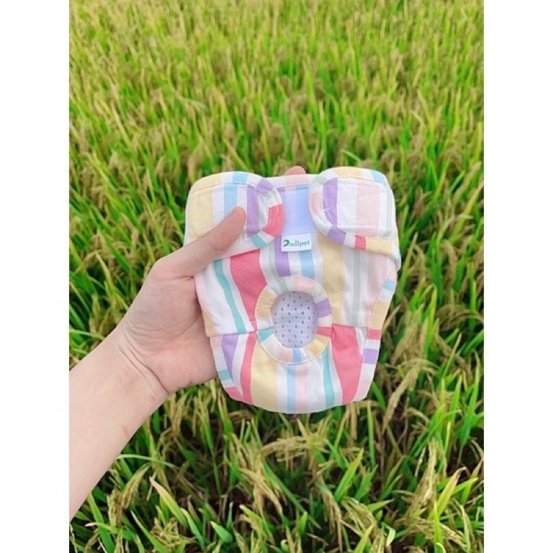Quần sinh lý cho chó cái