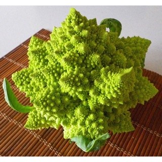 0.2gr hạt giống súp lơ san hô