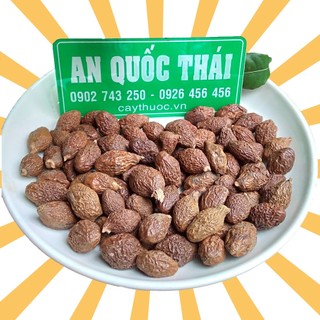 Hạt Ươi Bay Sẻ 100g [Cao Cấp] Nở Đều 95%, Đười Ươi Rừng (Hột Ươi, Lười Ươi) Pha Nước Hạt É, Mủ Trôm Uống Giảm Cân