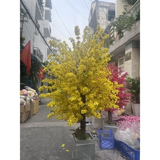 Cây mai giả hàng đặt kèm chậu cao m8 nhiều màu