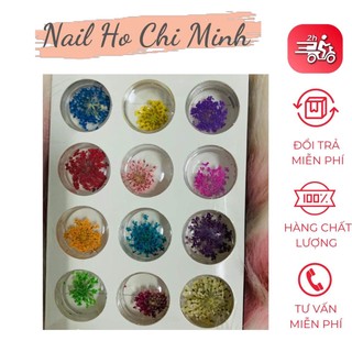 Hoa khô trang trí móng tay - Set 12 màu hoa chùm đắp gel ẩn phong cách Hàn Nhật