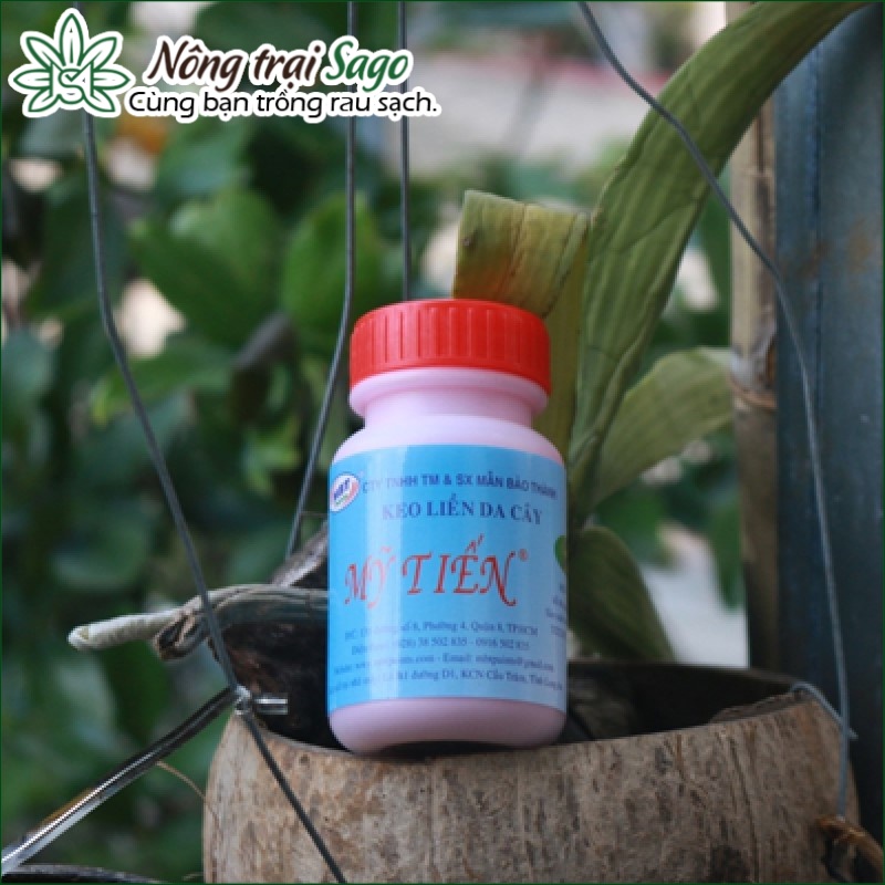 Keo liền da cây Mỹ Tiến - lọ 100g - (keo liền sẹo) - Giúp phục hồi vết cắt, khử khuẩn cho cây - Nông Trại Sago