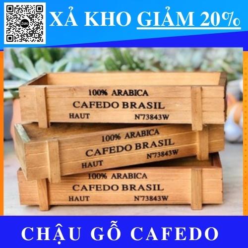 (CAFEDO) Chậu gỗ hình chữ nhật trồng cây cảnh mini, cây cảnh để bàn, tiểu cảnh sen đá, xương rồng, cây để bàn