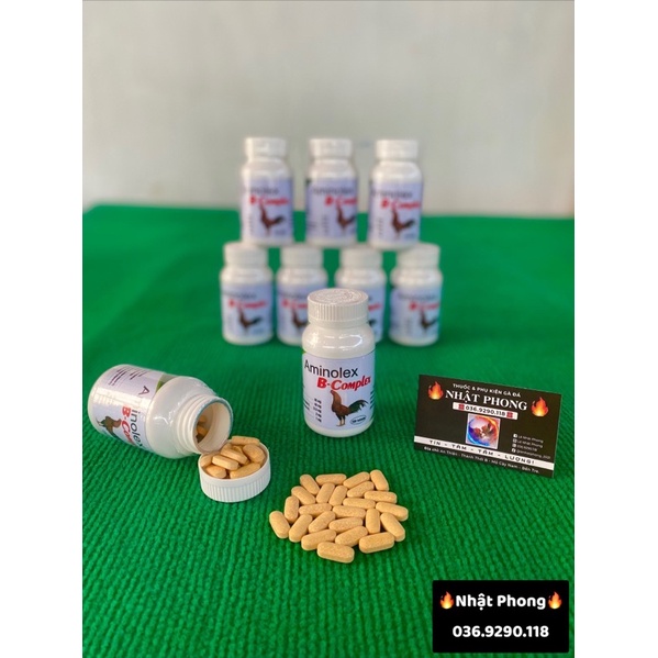 AMINO B-COMPLEX (Nuôi cao cấp dành cho Chiến Kê)
