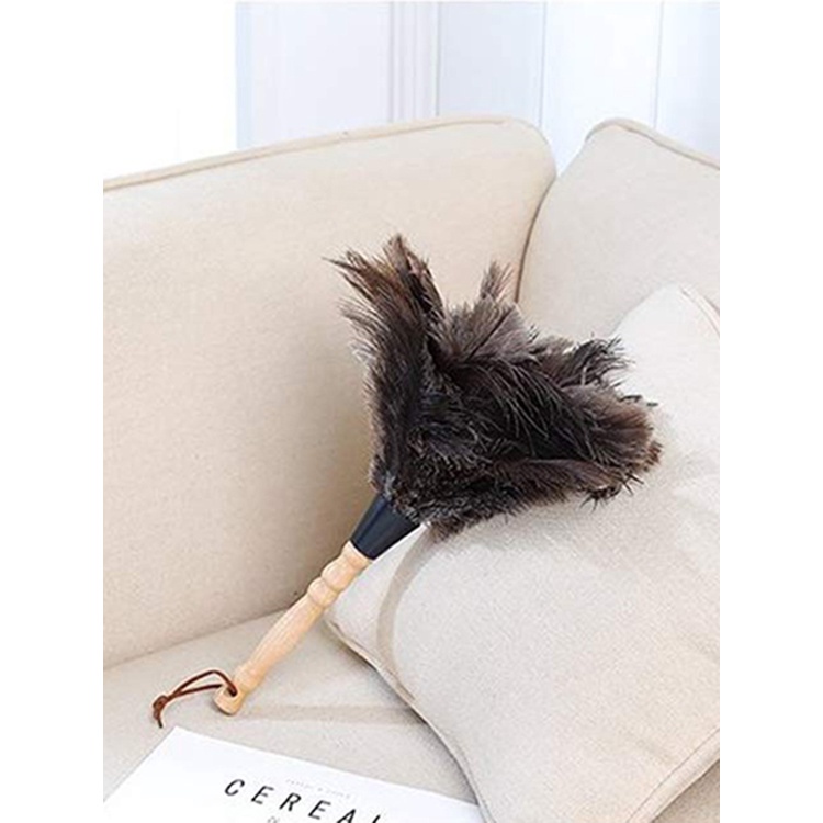 Chổi Lông Đà Điểu Phủi Bụi Cỡ Nhỏ Tiện Dụng Cho Gia Đình