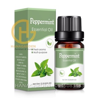 Tinh dầu Bạc Hà | Peppermint Oil |🌱SALE HOT🌱 Tinh dầu thiên nhiên Nhập khẩu 10ml