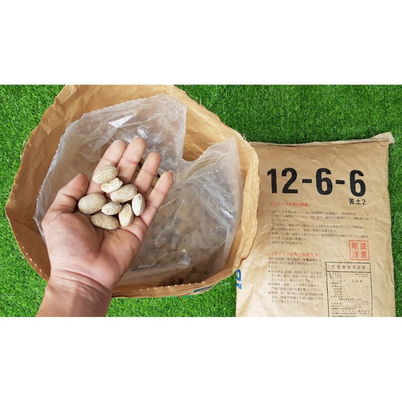 Phân tan chậm hạt bàng Nhật Nurseryace 12-6-6