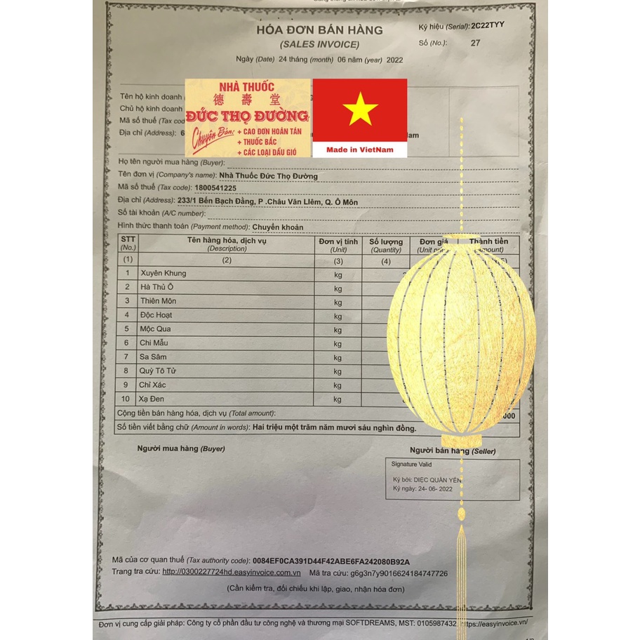 Khương Hoạt - loại thường - Túi 100g