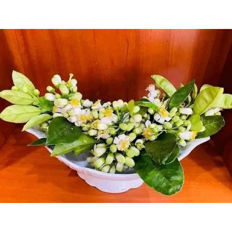 Bát thuyền bày gà lễ, gà cúng, bày hoa quả - hàng Bát Tràng.
