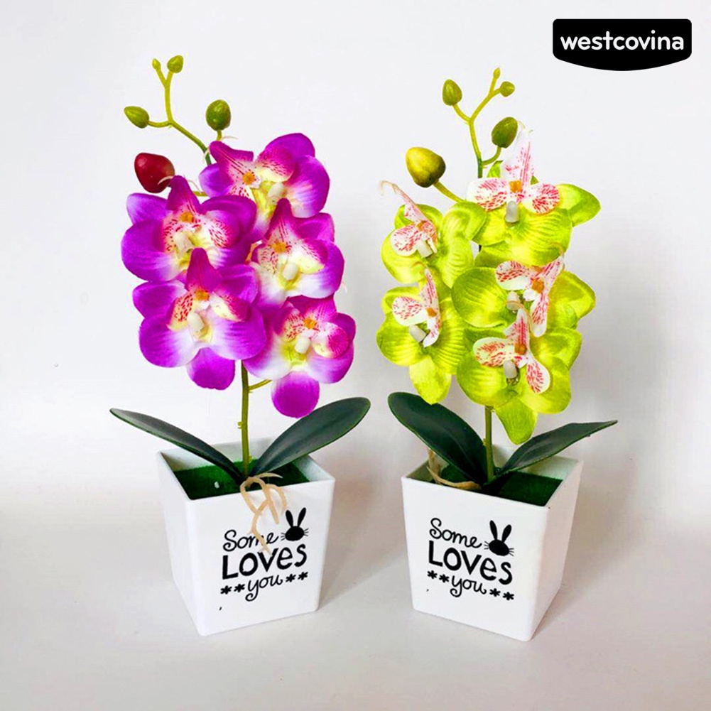 [WEST]⚘Chậu Hoa Lan Giả Kèm Chậu Dùng Trang Trí Nội Thất