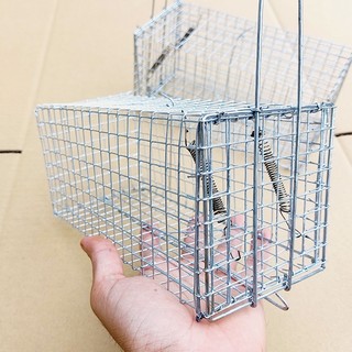 5 Bẫy Chuột Cống Nhum có móc chống sẩy an toàn ngay cả khi bẫy bị lật
