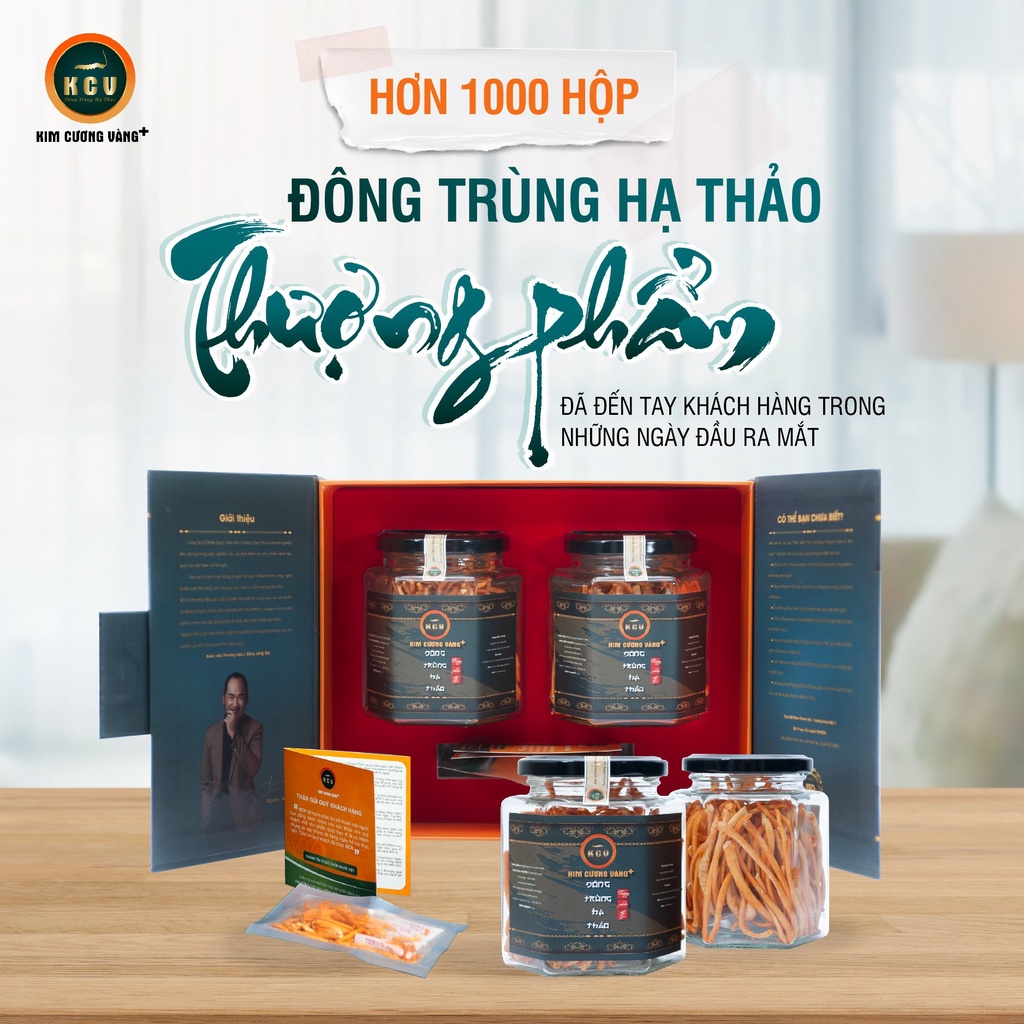 Qùa Tặng Tết Đông Trùng Hạ Thảo Thượng Phẩm - Tặng 1 Hộp ĐTHT 10G