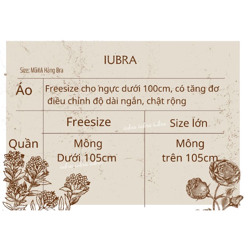 🌈25 màu🌈 Quần lót ren thun, quần lót dây, freesize, ren thun. Sexy, quyến rũ