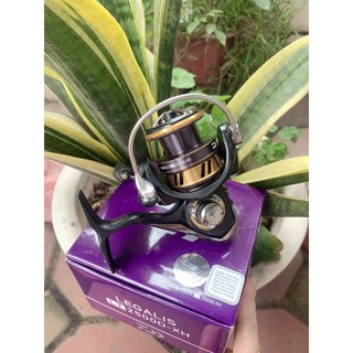 Máy câu daiwa legalis lt siêu nhẹ , máy câu cá cực chất bền bỉ tải đồ câu văn chương