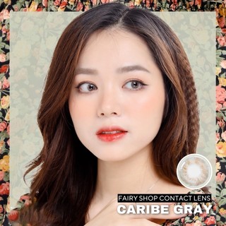 Kính áp tròng Caribe Gray 14.0mm - FAIRY SHOP CONTACT LENS - độ 0 đến 8 silicone hydrogel Lens cho mắt thở