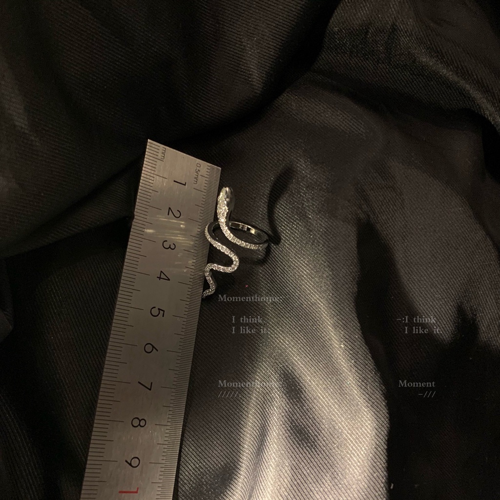 Nhẫn rắn màu bạc khí chất cá tính RAN8