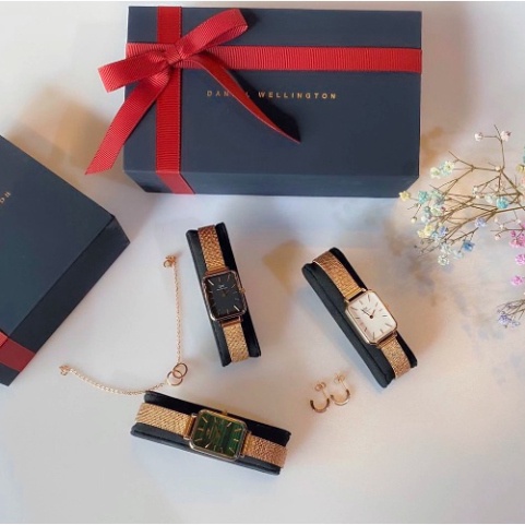 . Đồng Hồ Nữ Daniel Welington Nữ QUADR.O PRESSED Dây Mesh 20x26mm - DanielStoreVn . | BigBuy360 - bigbuy360.vn