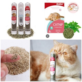 Cỏ mèo Catnip Bioline Ống 45ml cho mèo