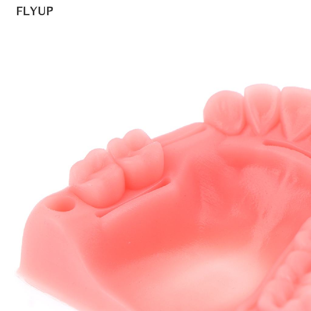 Set 4 Mô Hình Hàm Răng Giả Hỗ Trợ Dạy Học