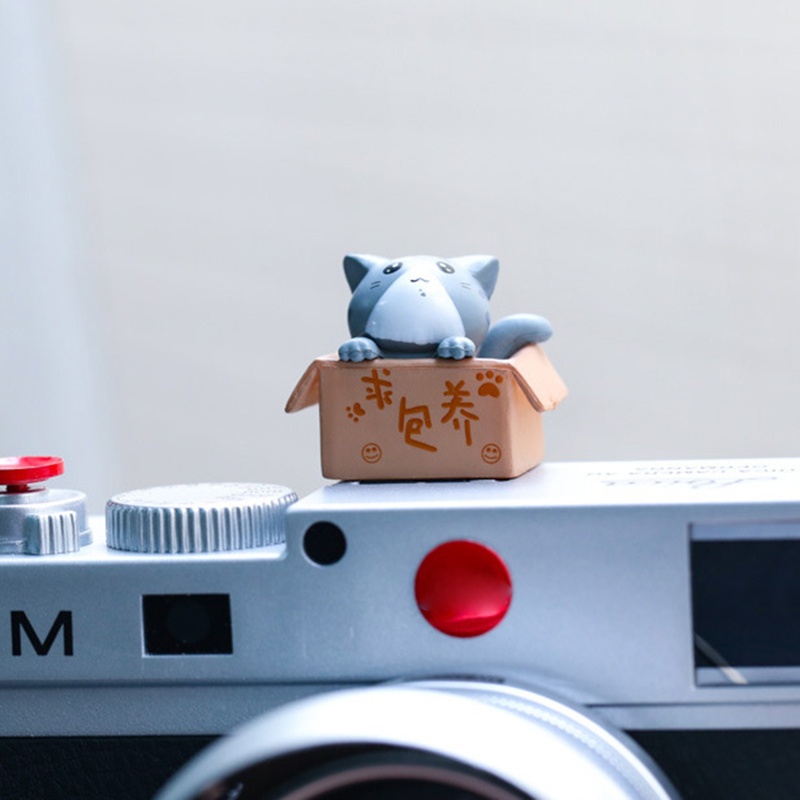 Đèn Flash 3D Hình Mèo Dễ Thương Sáng Tạo Trang Trí Máy Ảnh DSLR Type C